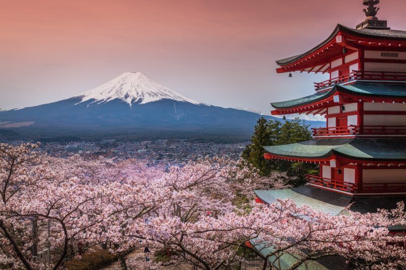 Fioritura dei ciliegi in Giappone 2023: previsioni, periodo e dove andare