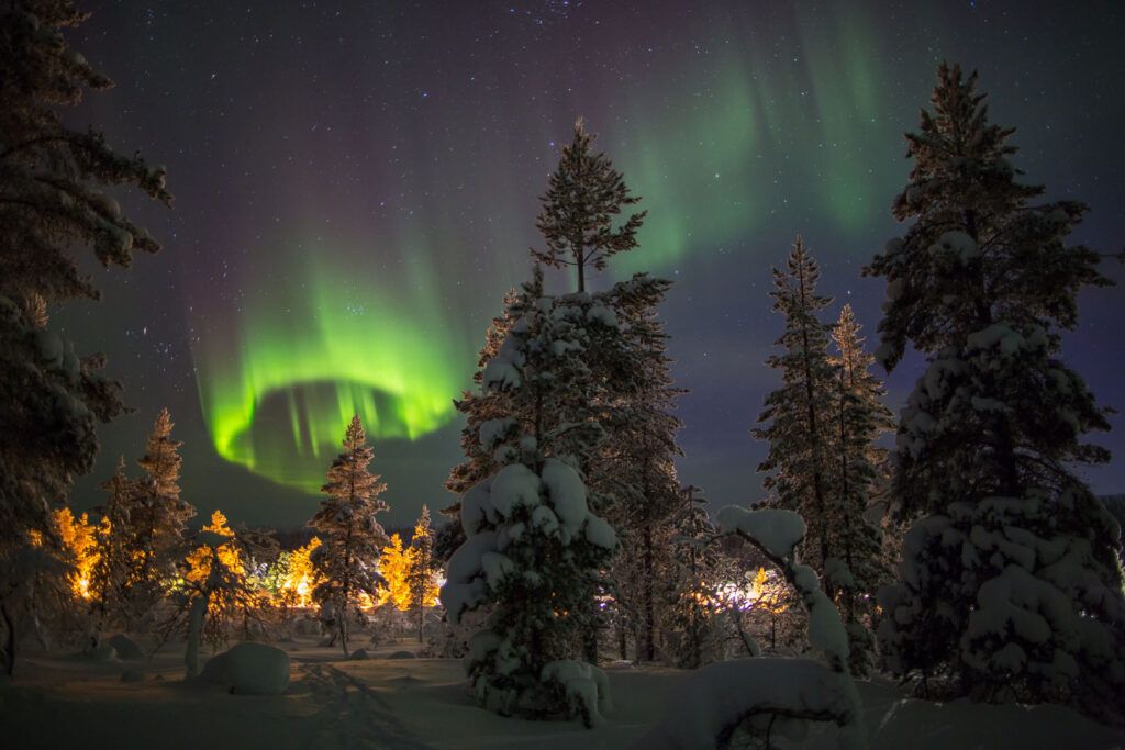 aurora boreal en el cielo y pinos en un bosque con nieve de noche - weroad