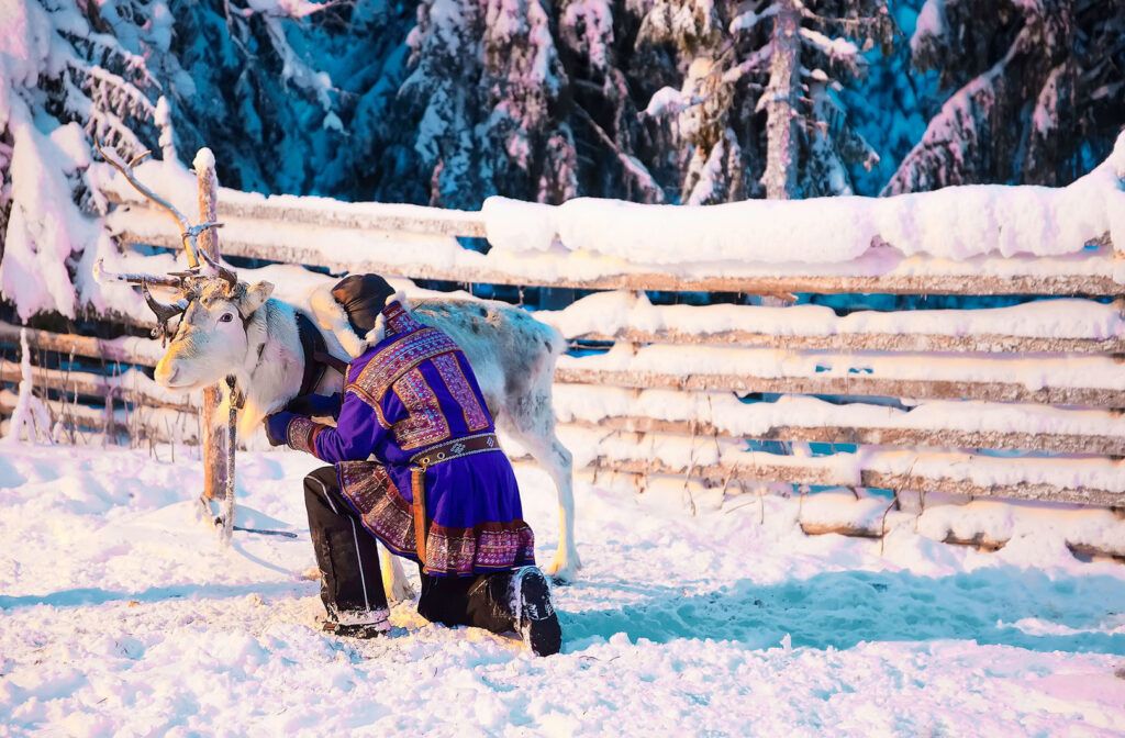persona vestida con traje tradicional tocando un reno en karasjok, en medio de la nieve de laponia - weroad