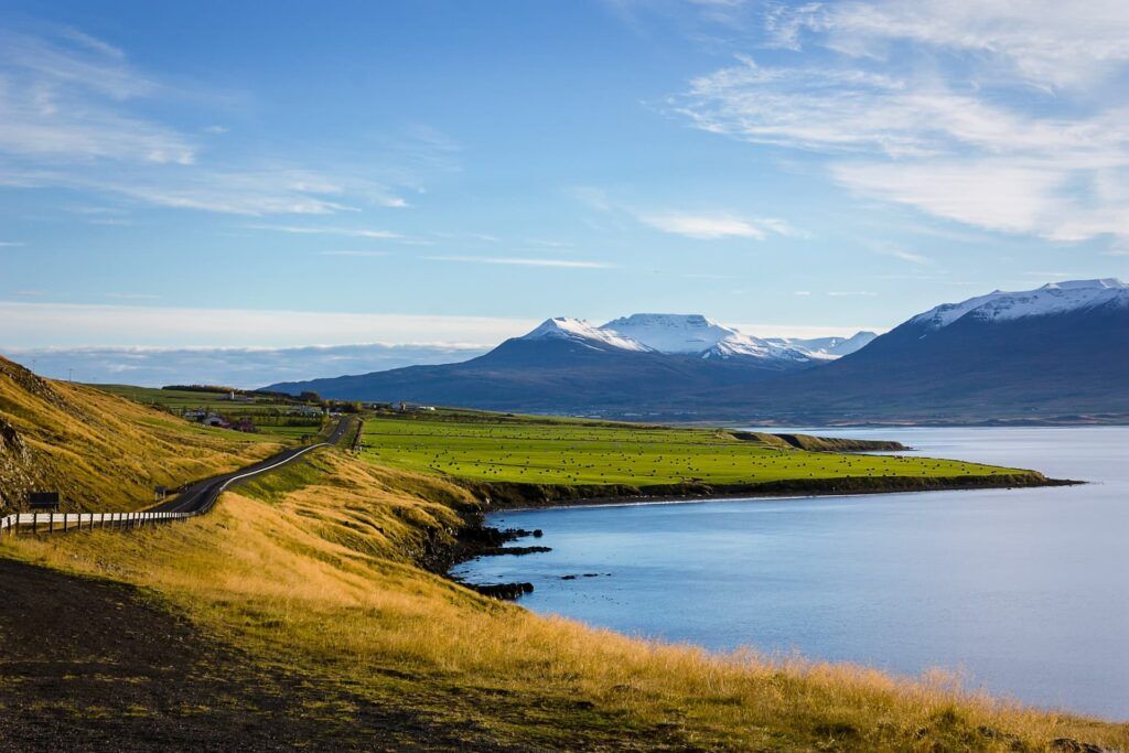 Montagne e rocce verdi si affacciano sul mare in Islanda