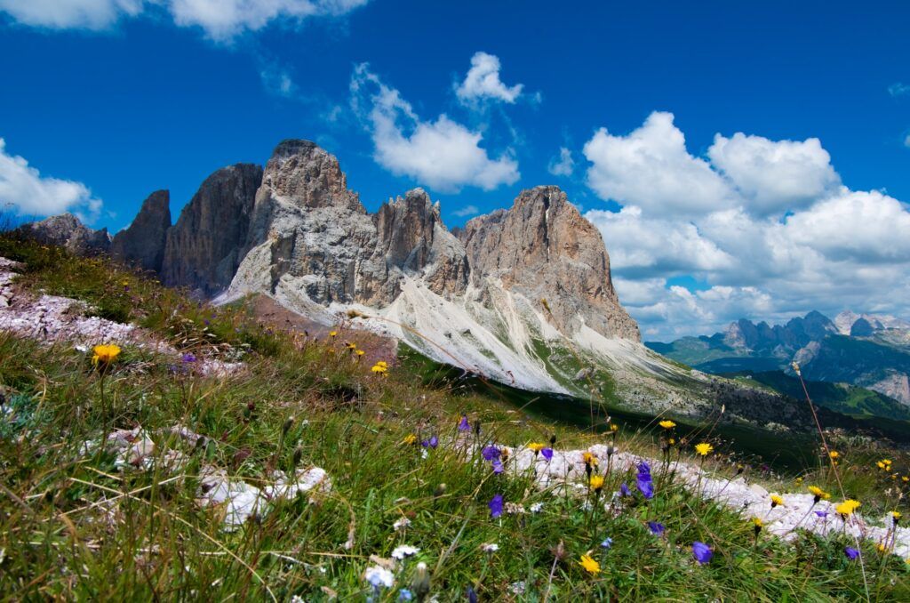 Il Sassolungo con le sue cime rocciose visto da un prato fiorito