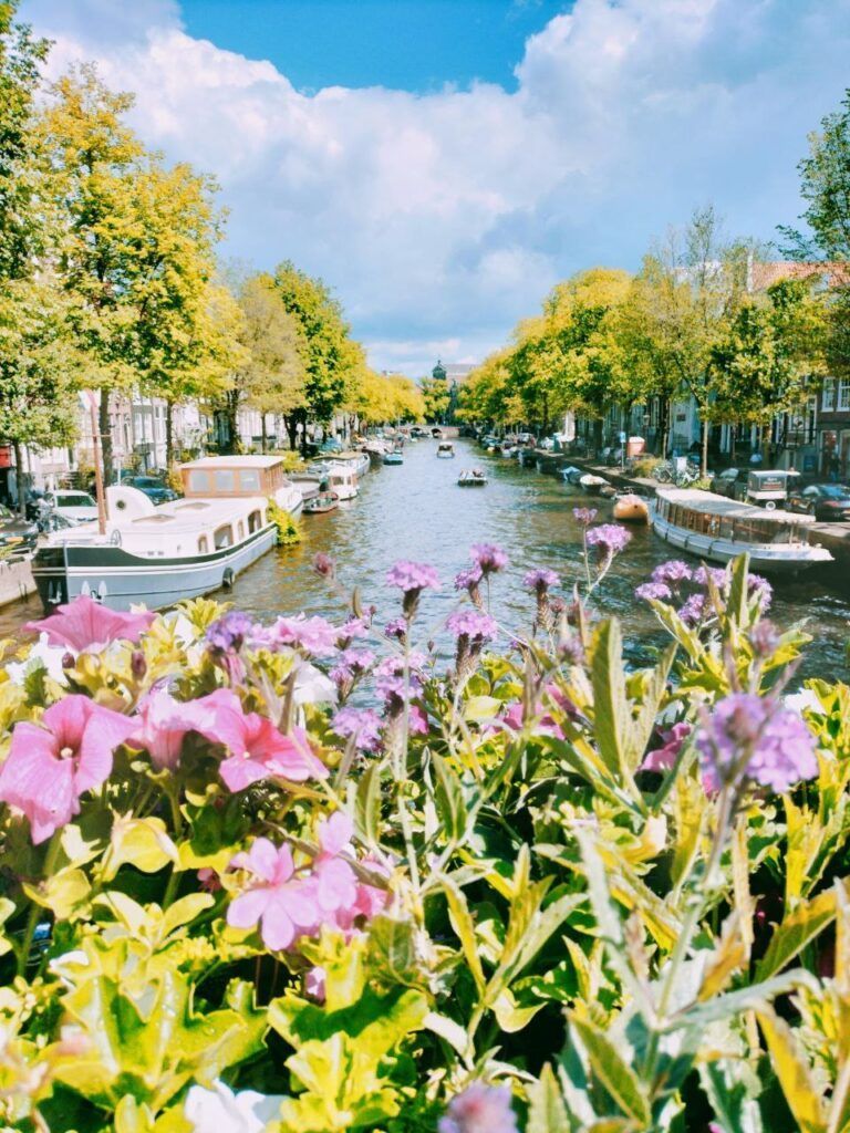 Uno dei canali di Amsterdam con numerose house boat visto da un ponte con fiori colorati.