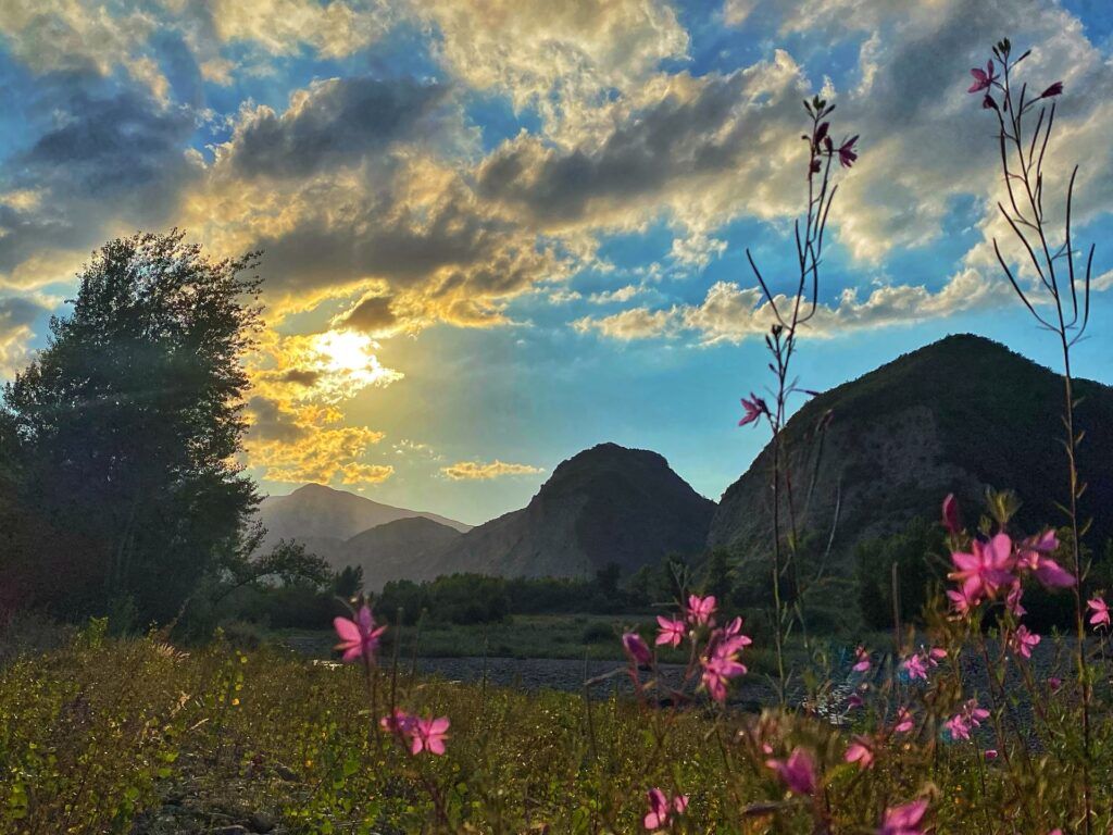 Vista delle montagne dell'Appennino Tosco-Emiliano al tramonto in estate, con fiori rosa in primo piano