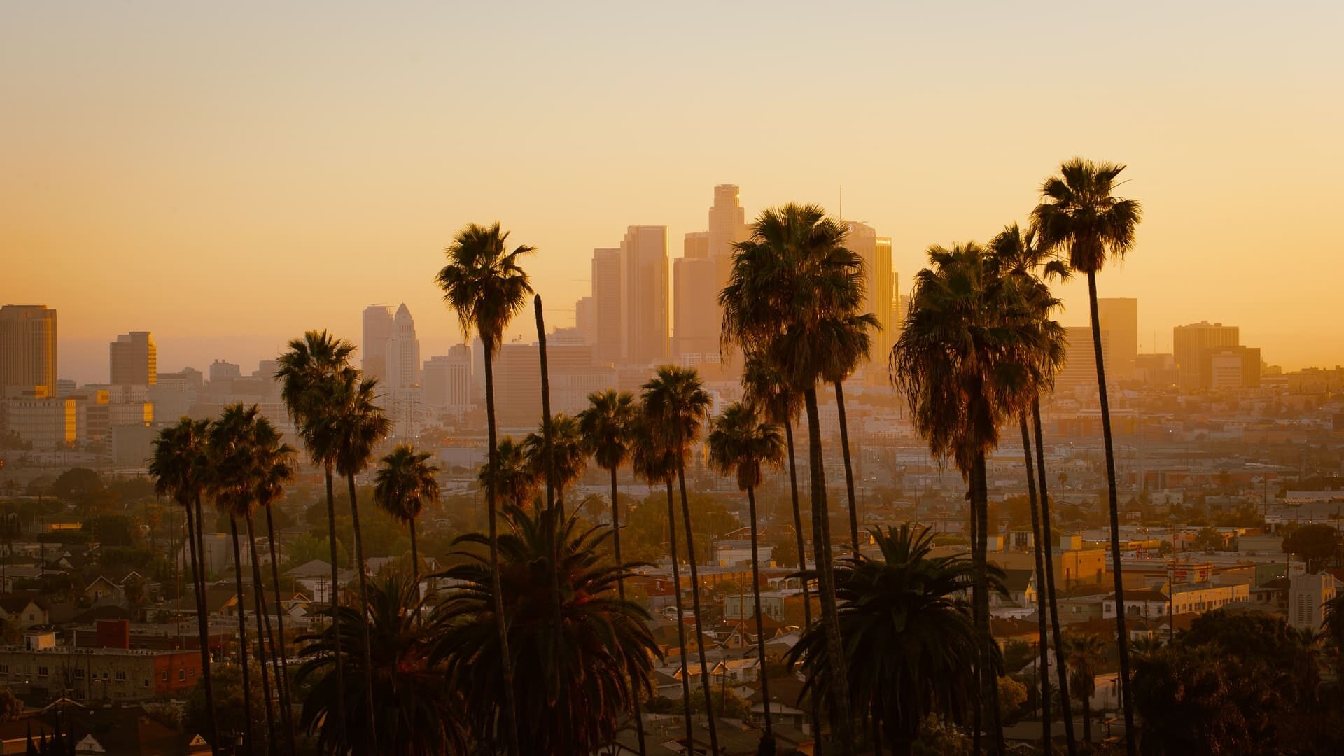 Cosa vedere a Los Angeles: tutti i posti da non perdere