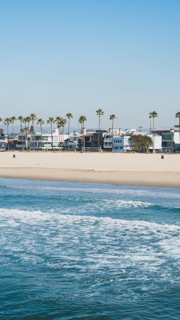 Venice Beach vista dal mare con la sua spiaggia bianca e le alte palme di fronte alle abitazioni
