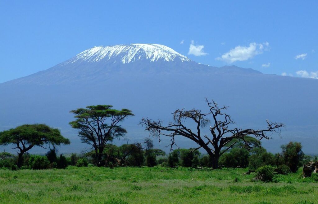 La cima innevata del Kilimangiaro sullo sfondo, in primo piano una verde vegetazione