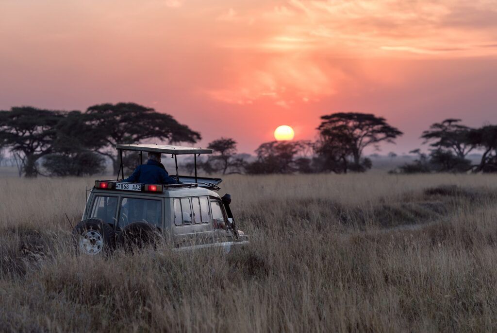 Un uomo guida un fuoristrada grigio al tramonto nel Parco Serengeti
