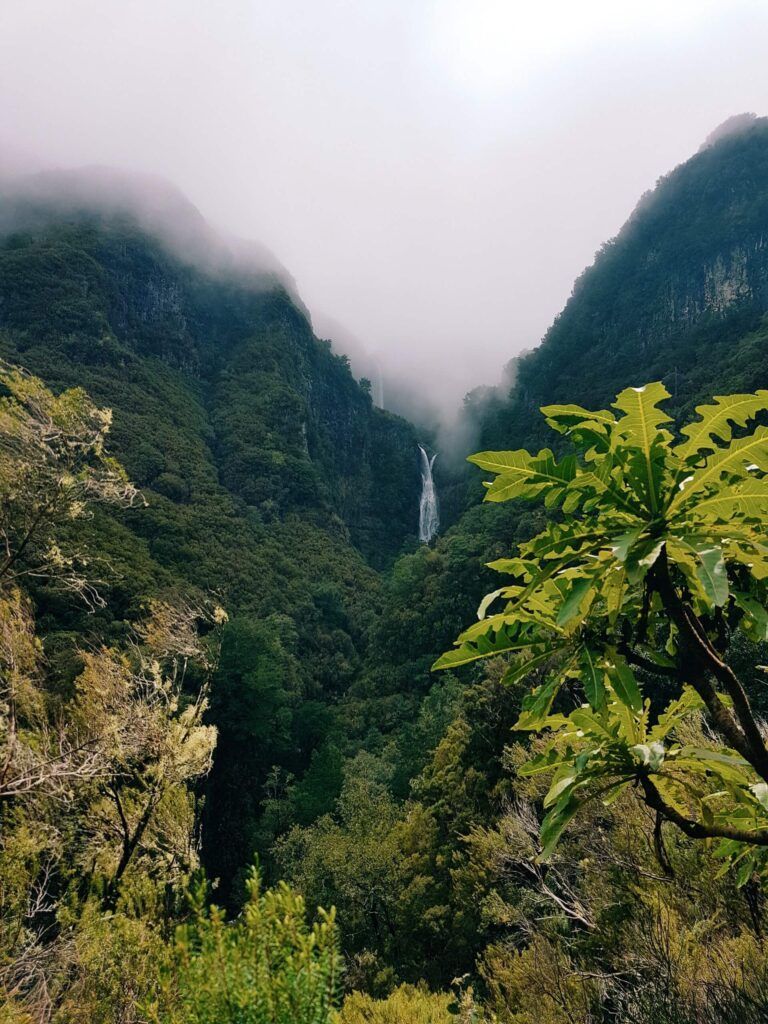 la natura selvaggia di Madeira