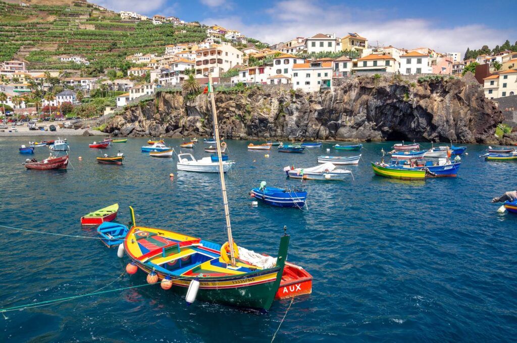 cosa vedere a Madeira: Câmara de Lobos con le sue barche che affollano la costa