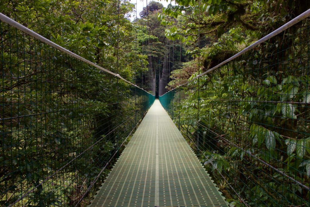 Il ponte sospeso nella foresta di Monteverde