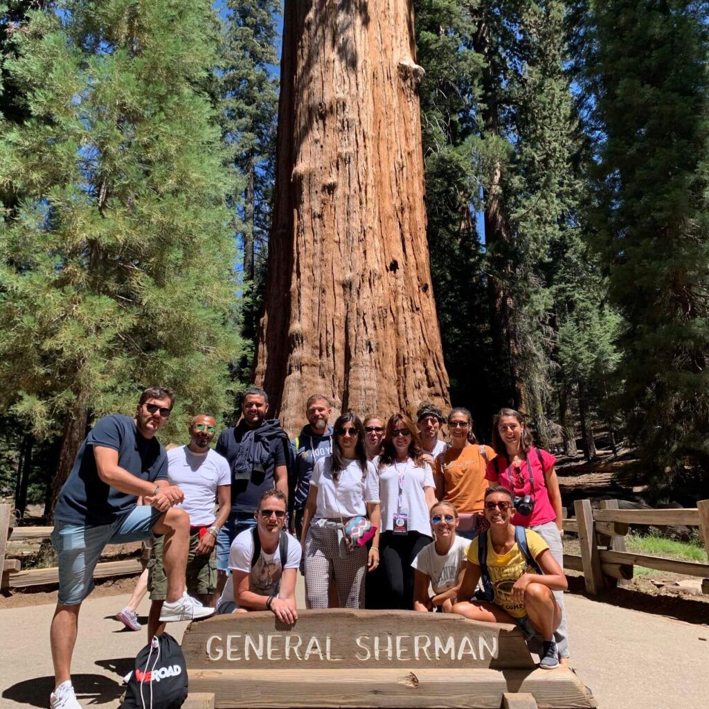 Gruppo di persone davanti alla scritta General Sherman con sequoie sullo sfondo