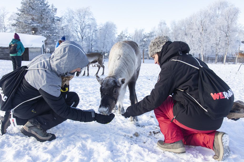 due ragazzi danno da mangiare ad una renna in Lapponia