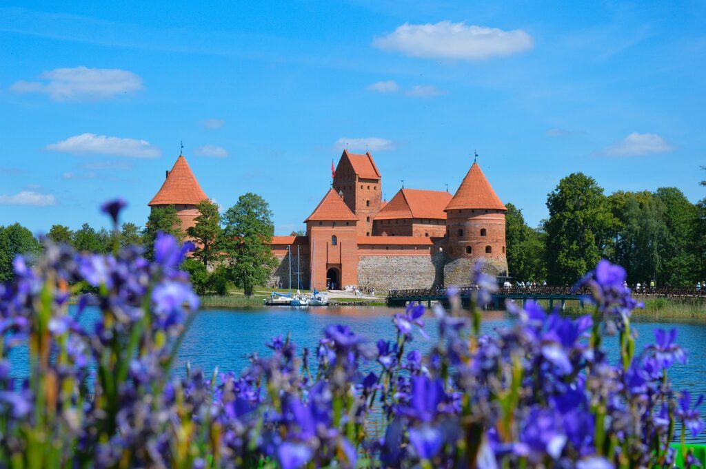 Fiori violacei incorniciano il rosso castello di Trakai
