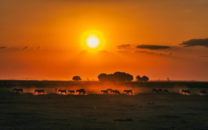 Kenya, cosa vedere dalla savana alla costa sull’Oceano Indiano