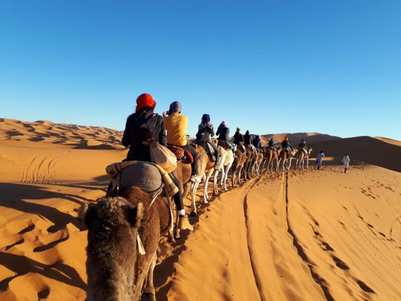 Un gruppo di persone in sella a dei cammelli passeggiano per il deserto del Marocco