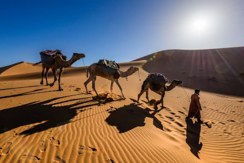 Marocco: escursione nel deserto