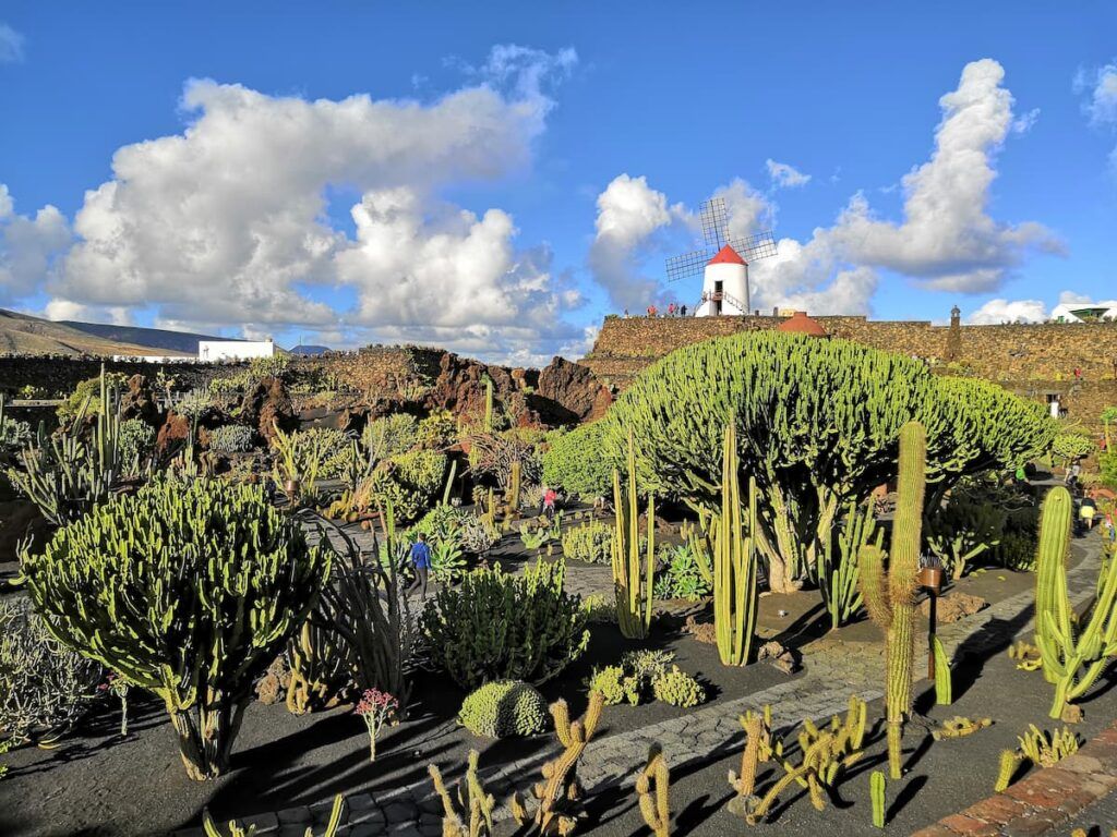 Giardino dei cactus di Lanzarote