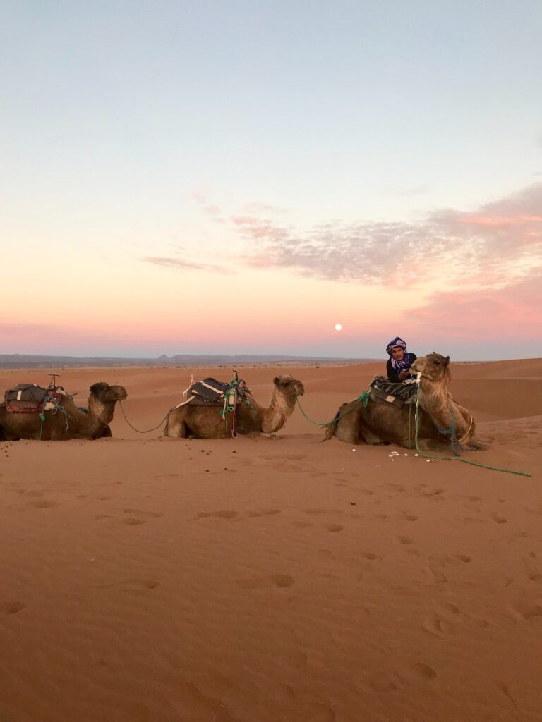 una gita unica nel deserto da Marrakech