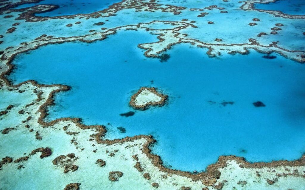 Heart Reef nella grande barriera corallina australiana