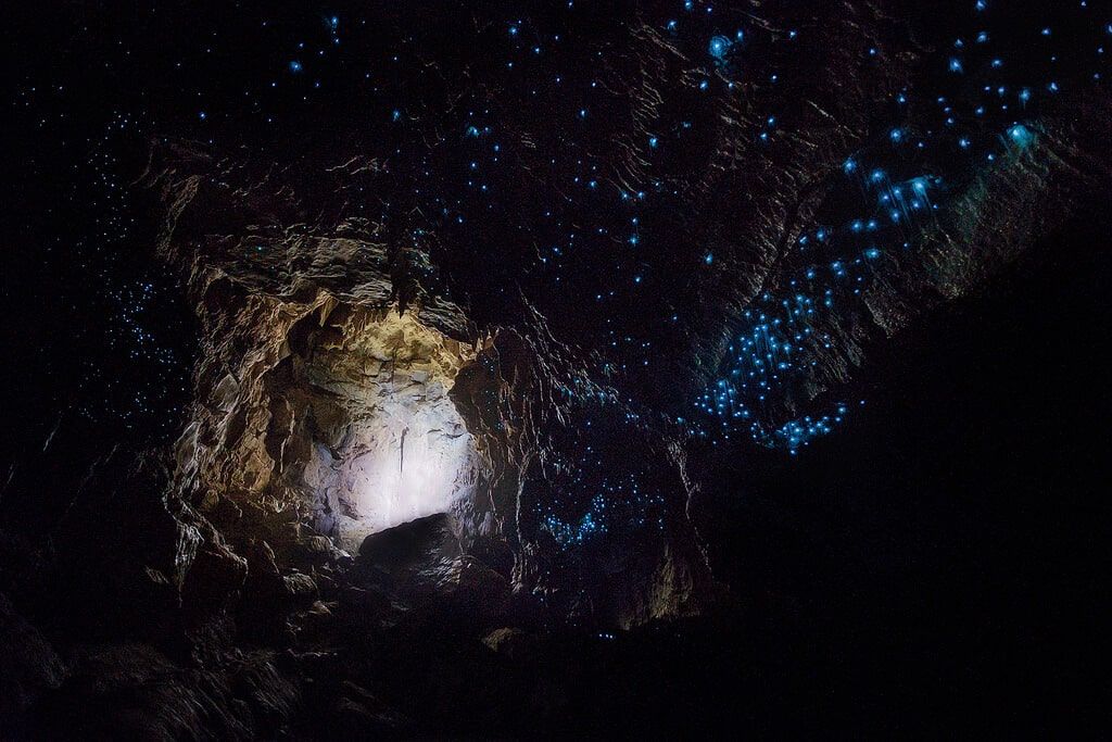 Le scintillanti Waitomo Caves in Nuova Zelanda