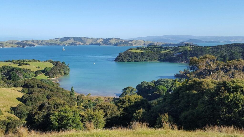 Isola Waiheke in Nuova Zelanda
