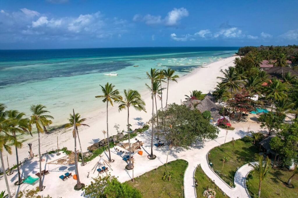 Palme lungo la spiaggia bianca di Zanzibar