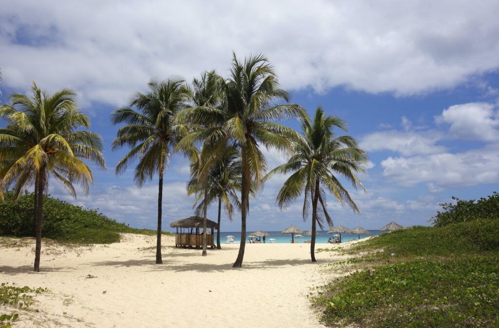 Sabbia bianca e palme conducono al mare turchese di Cuba