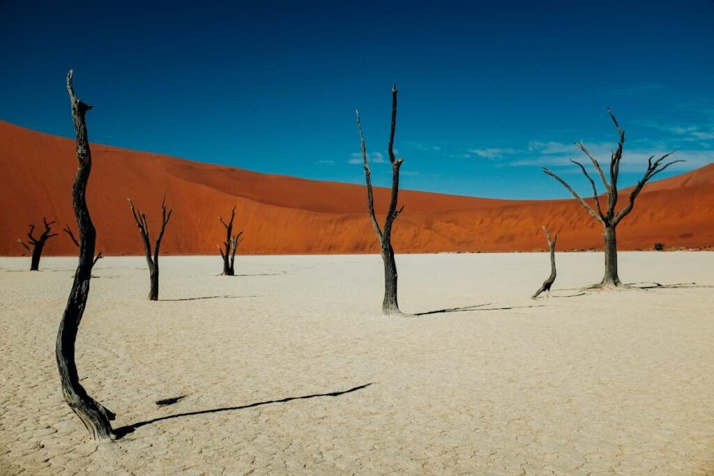 Namibia cosa vedere: Deadvlei