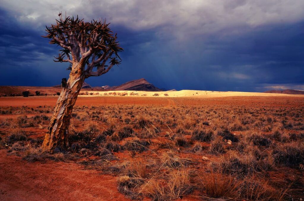Deserto in Namibia