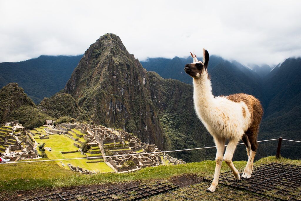 Perù - viaggi prima dei 50 anni