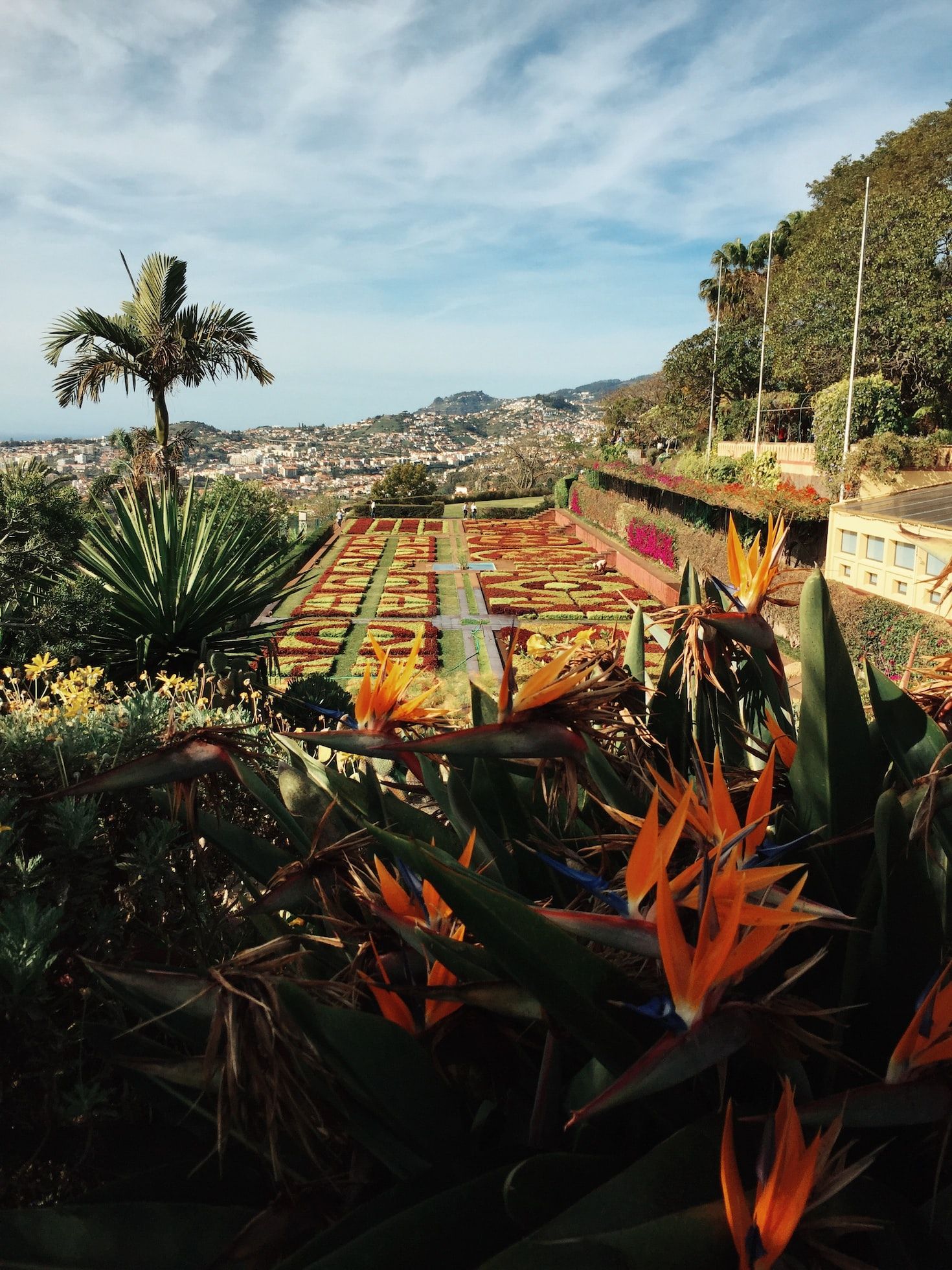 la fioritura di Madeira a giugno