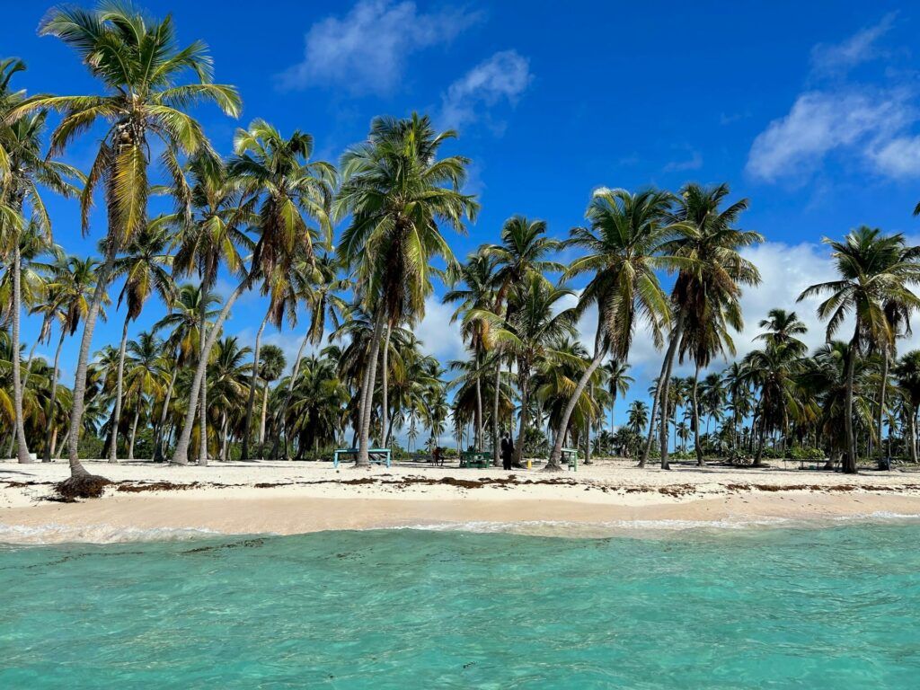 Palme sulla spiaggia in Repubblica Dominicana