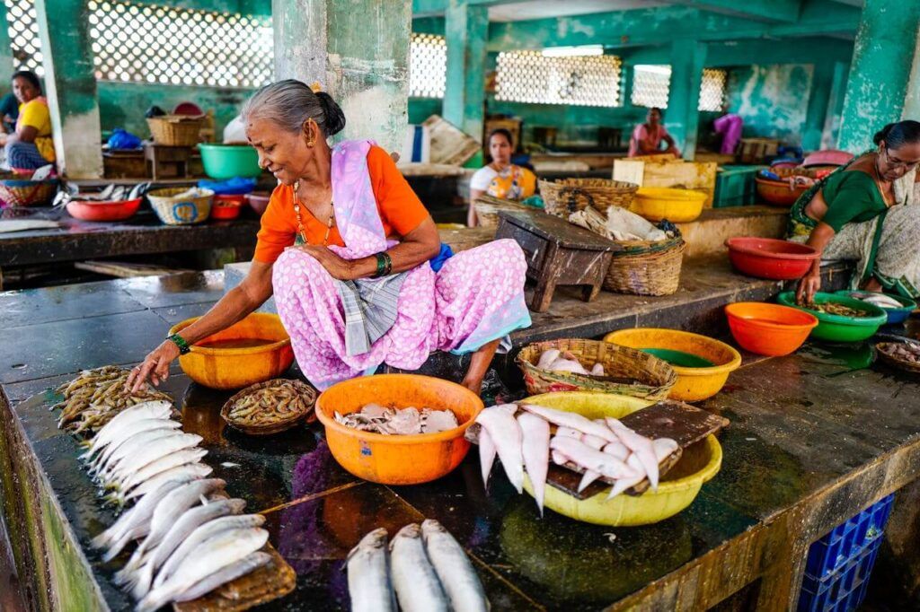 mercato del pesce in India