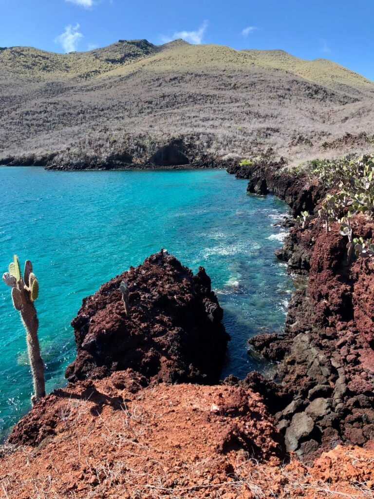 esplosioni di colori alle Galapagos