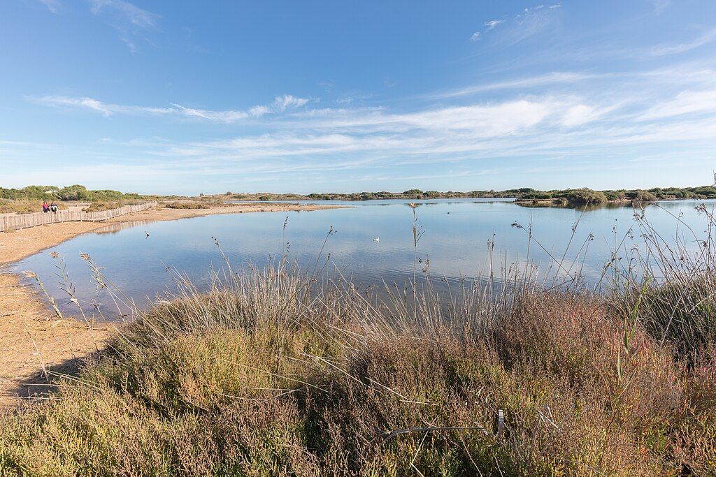 Parco Naturale dell’Albufera Valencia