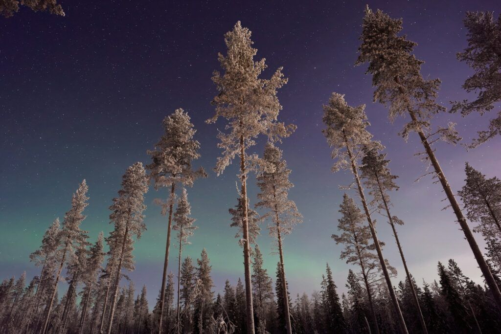 Aurora Boreale in Lapponia