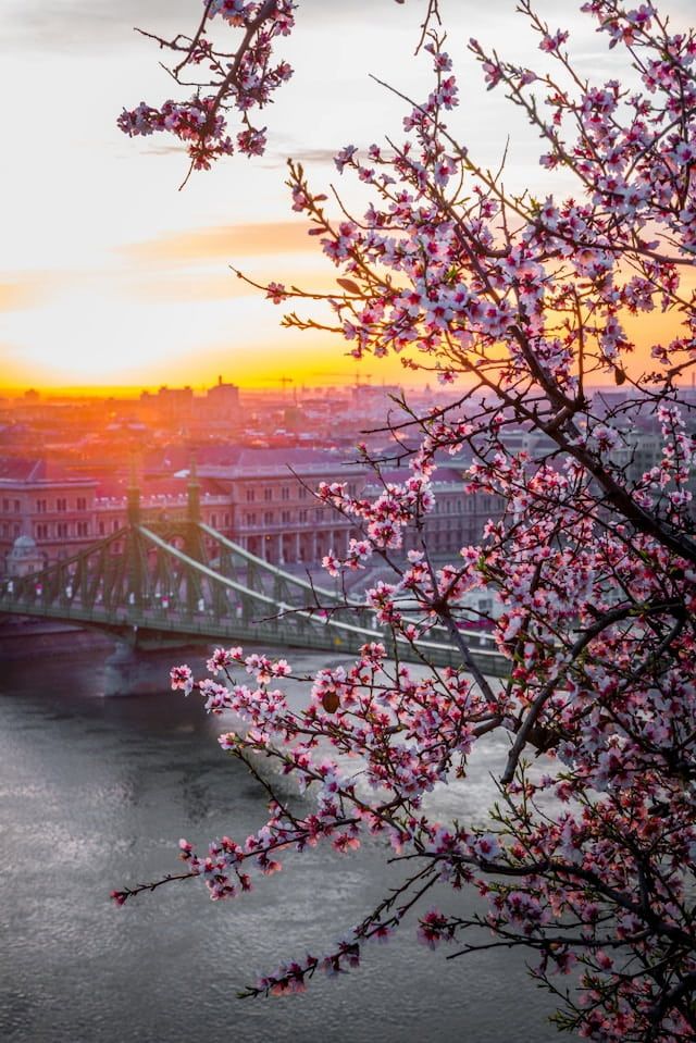 Primavera a Budapest