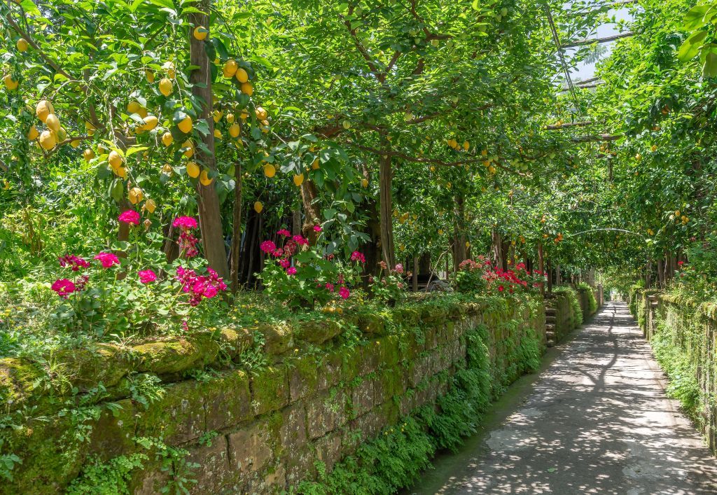 Sentiero dei Limoni Campania