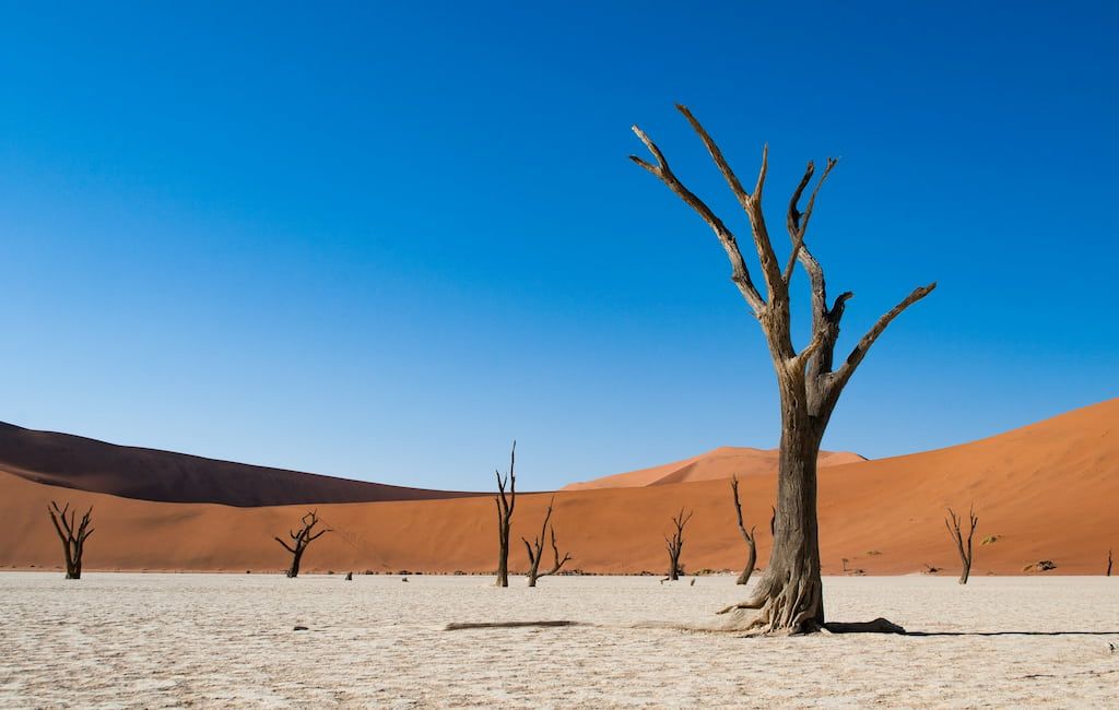 Escursione nel deserto: Dead Vlei in namibia