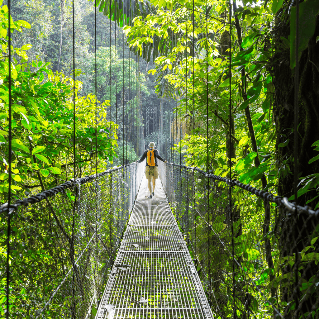 Un ponte sospeso tra le cime degli alberi, immerso nel cuore della giungla tropicale della Costa Rica più selvaggia.