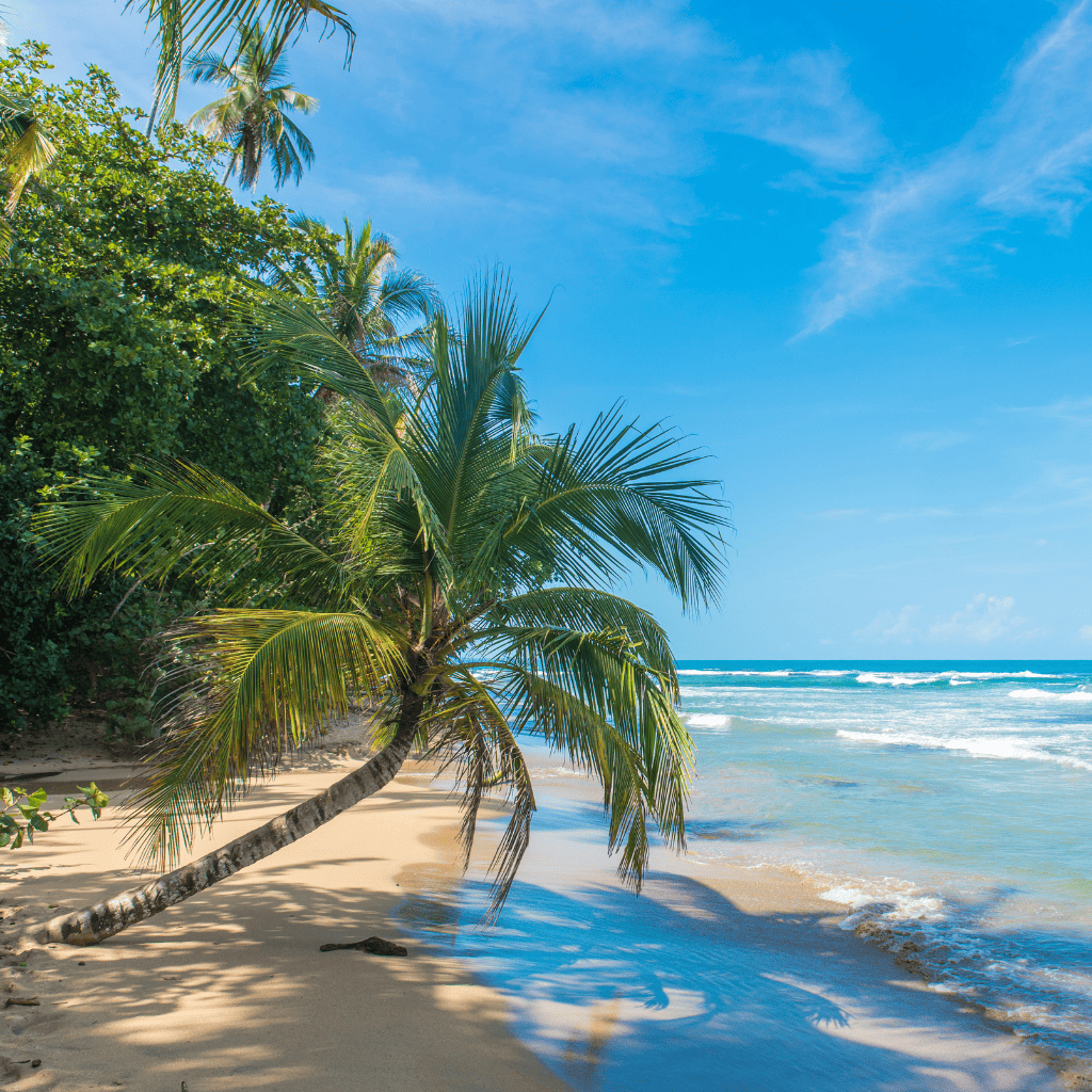 Spiaggia di Puerto Viejo, Costa Rica: sabbia dorata, palme piegate dal vento e il suono dell’oceano.