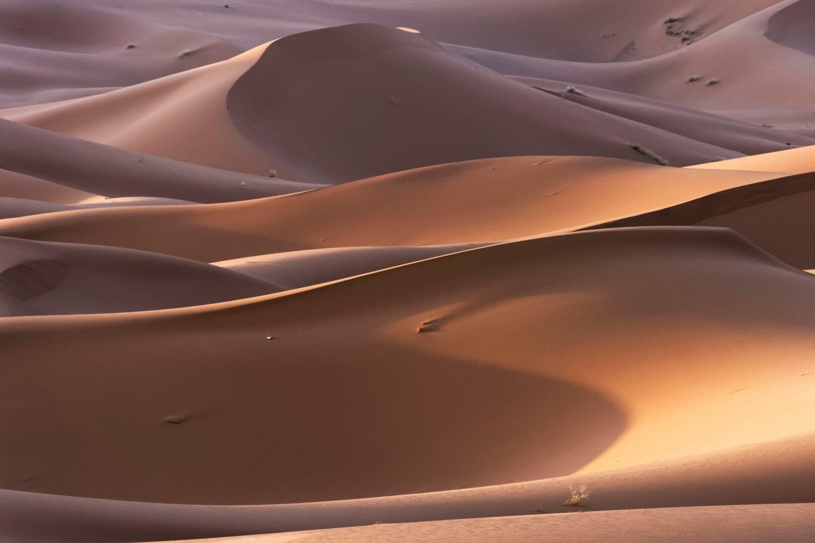 Consigli di viaggio per il Marocco: documenti, cambio, le cose da non perdere e tanto altro ancora