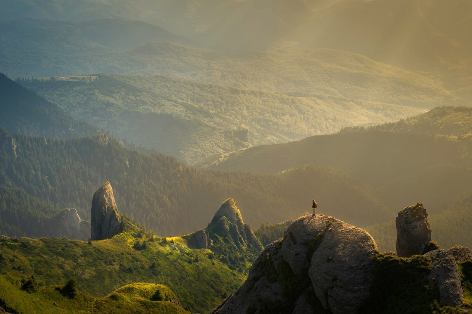 Early Bird: non si parla di uccelli ma come sempre di viaggi – IN SCONTO!