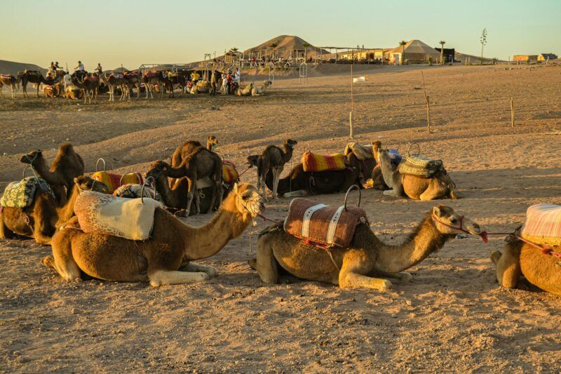 Scopri l’Autentico Deserto del Sahara: Escursioni Indimenticabili da Marrakech