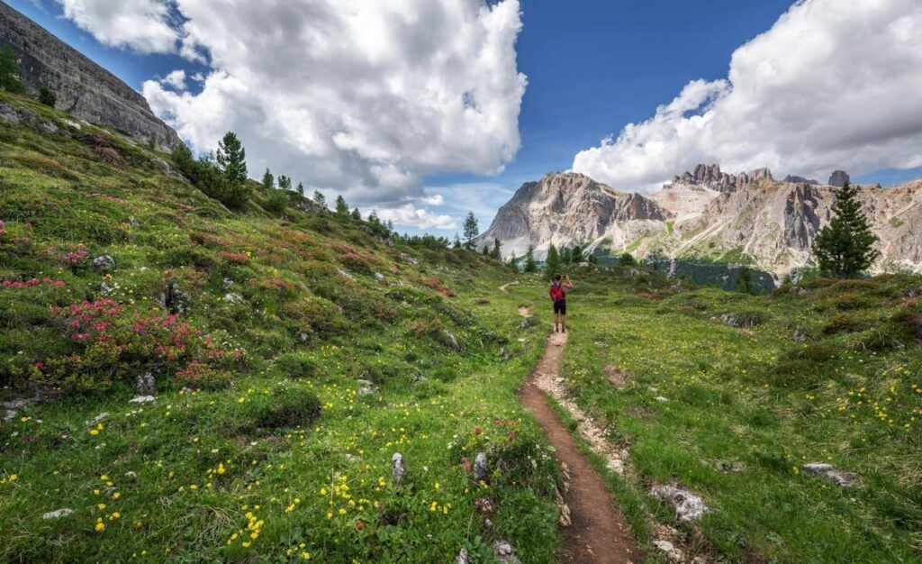 Sentiero escursionistico tra i prati fioriti delle Dolomiti