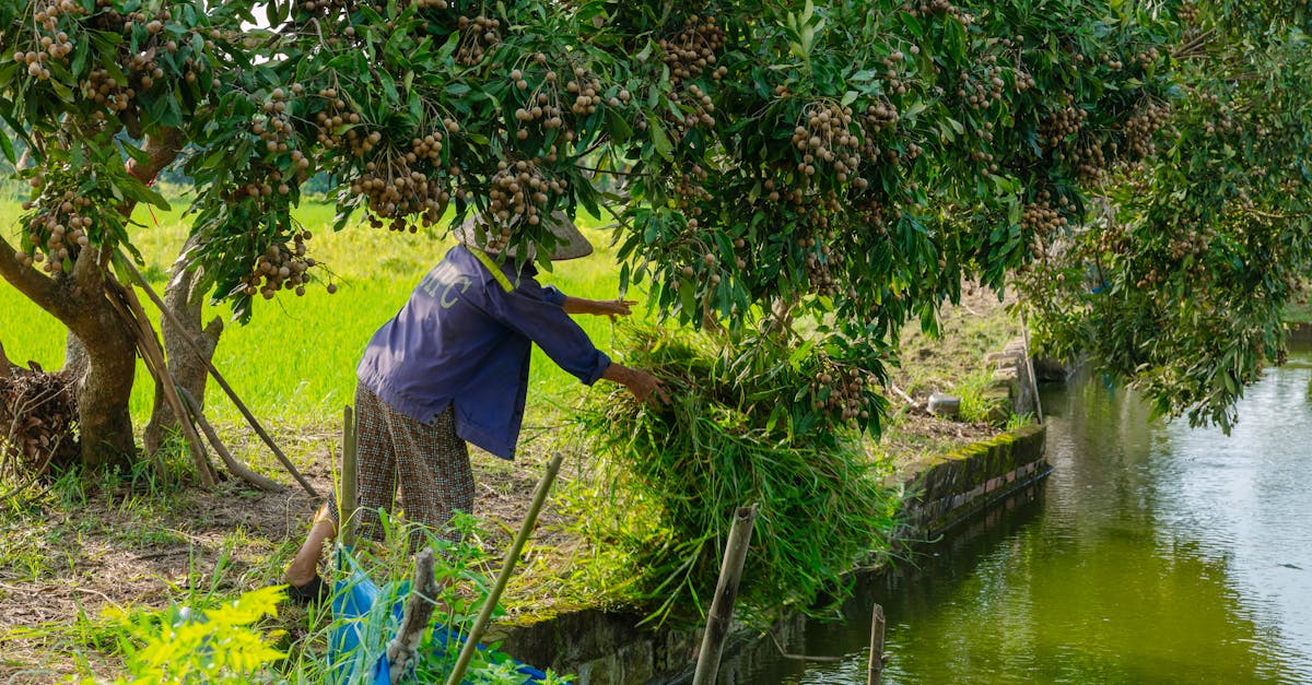Vietnam: Cosa Evitare per un Viaggio Autentico e Indimenticabile