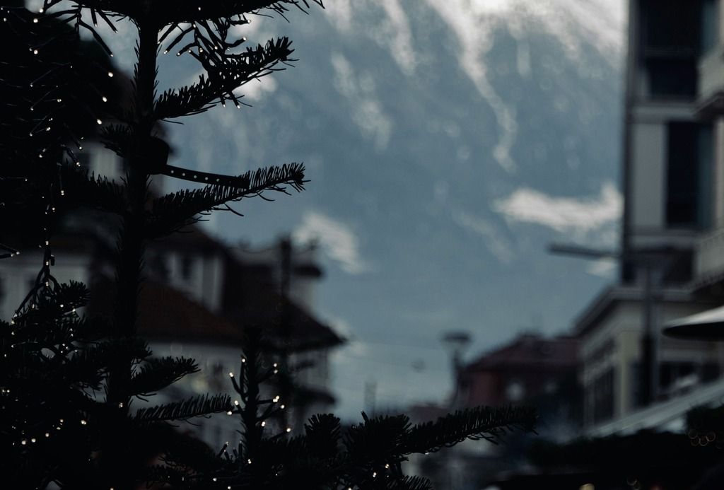 Albero di Natale illuminato a Bolzano con le montagne innevate sullo sfondo: magia e atmosfera natalizia nel cuore del Nord Italia.