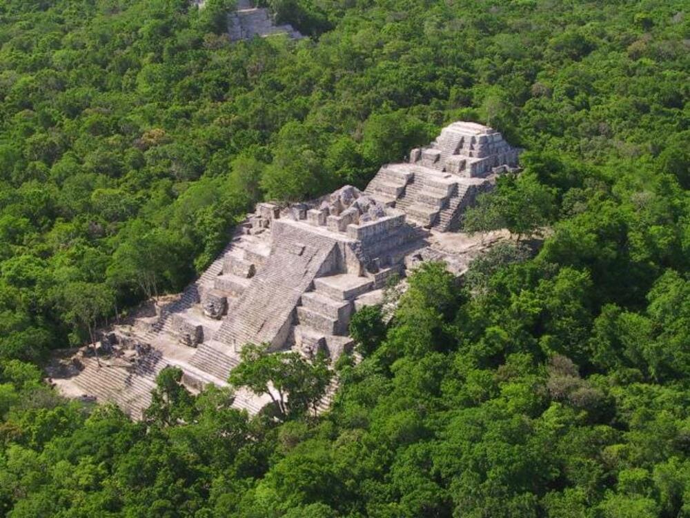 Calakmul in Messico