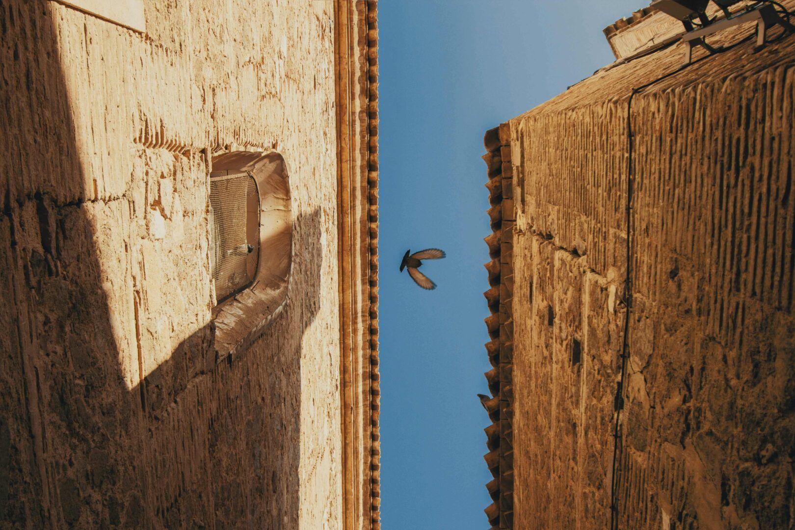 Cosa vedere a Toledo: guida completa alla città delle tre culture