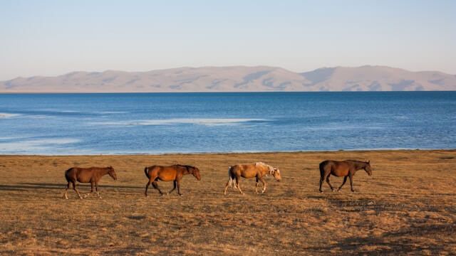 Trekking in Kirghizistan: la guida definitiva tra yurte, cavalli e vette da urlo